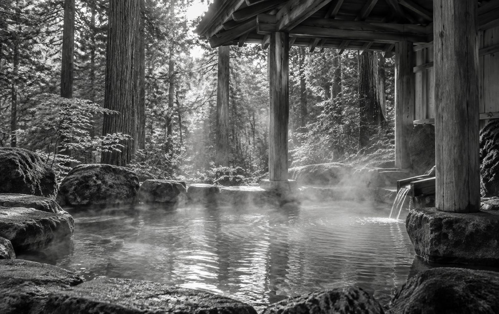 Original black-and-white vision of an outdoor Japanese onsen in a cedar forest